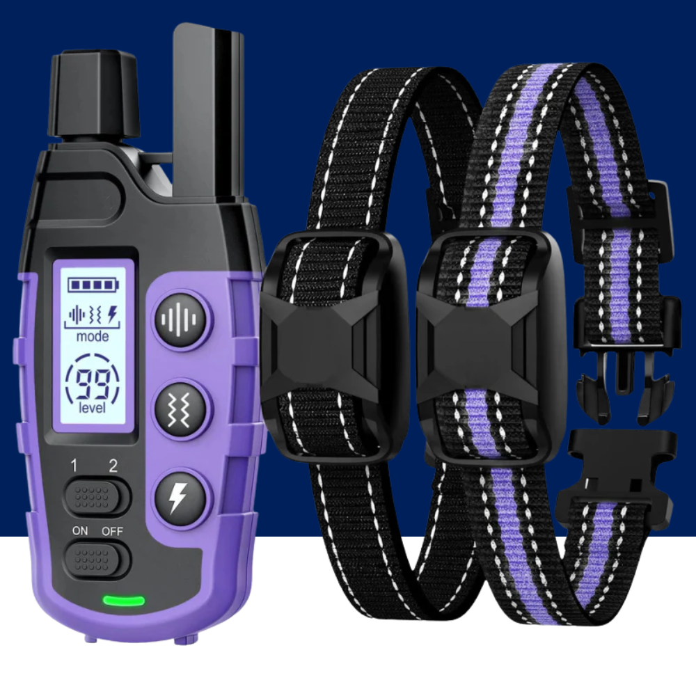 Dog Training Collar with Remote and Vibration Modes