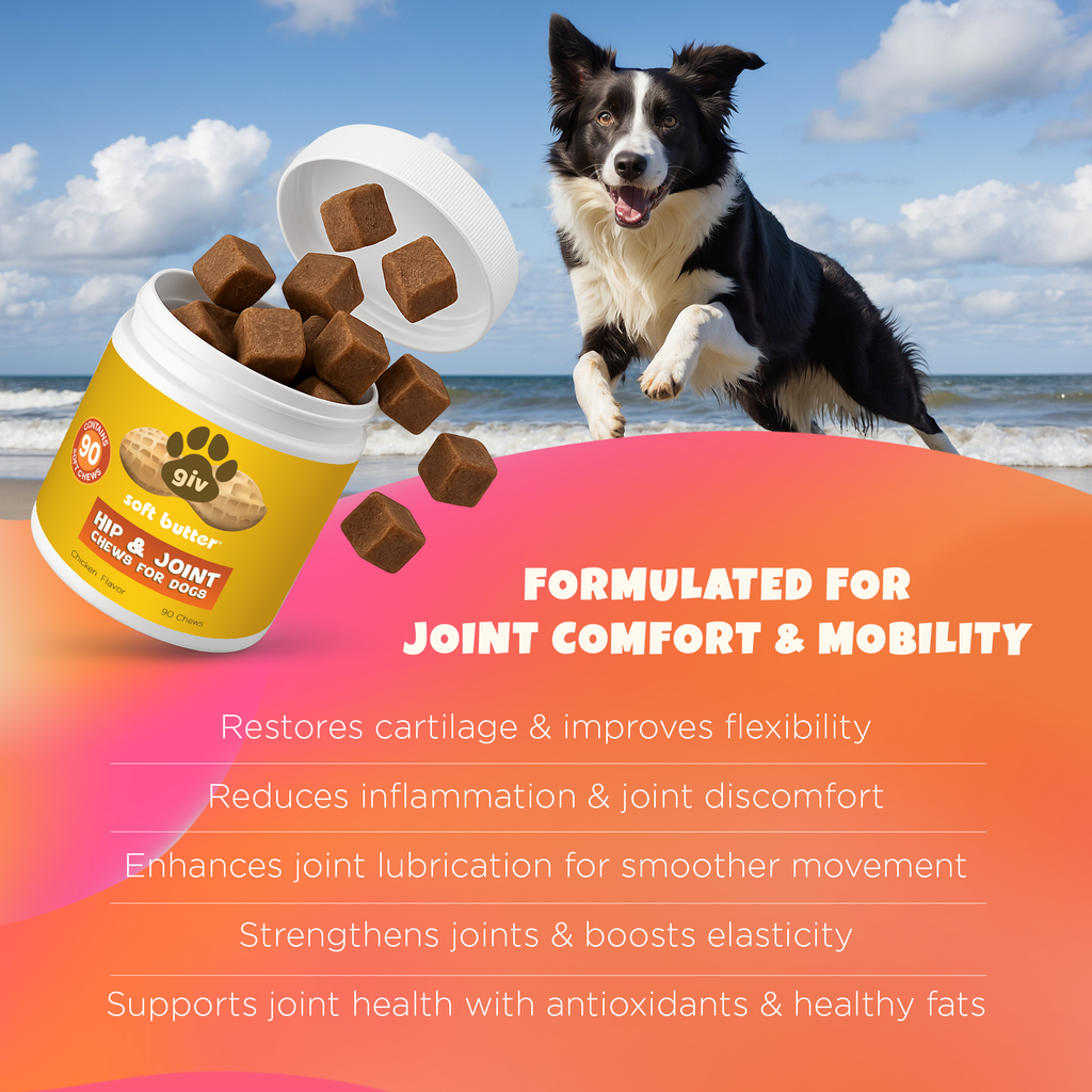 Hip & Joint Chews for Dogs (90 Count Jar)